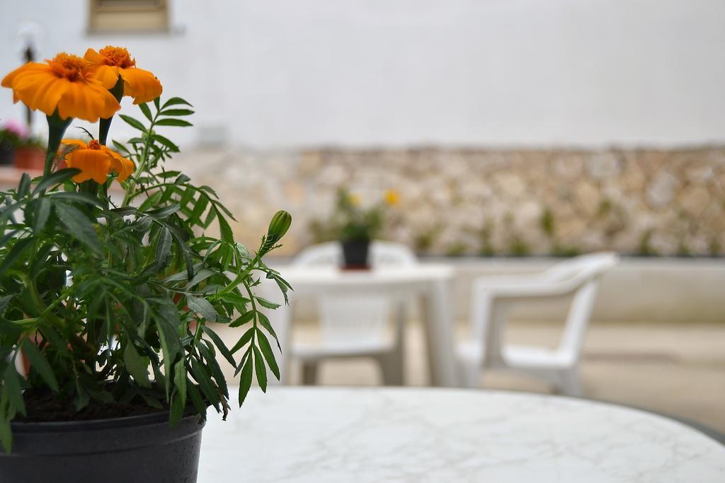 Il Girasole Formia Guesthouse Rooms エクステリア 写真