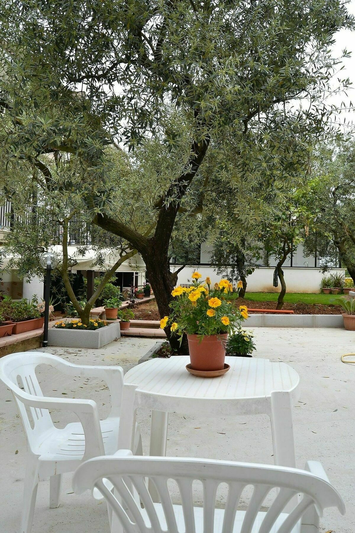 Il Girasole Formia Guesthouse Rooms エクステリア 写真